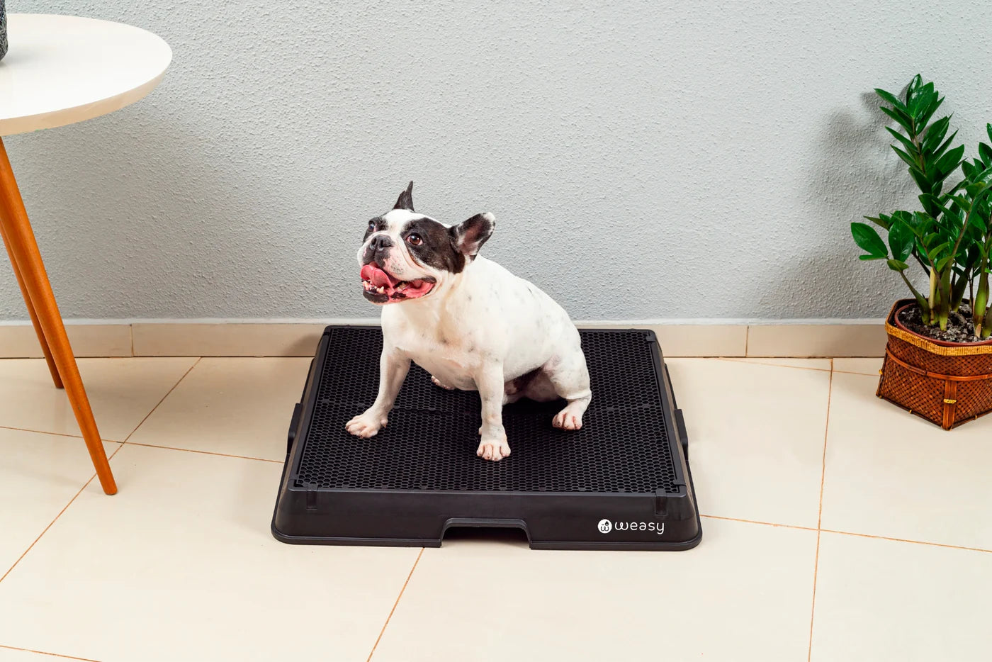 Weasy Smart Dog Potty