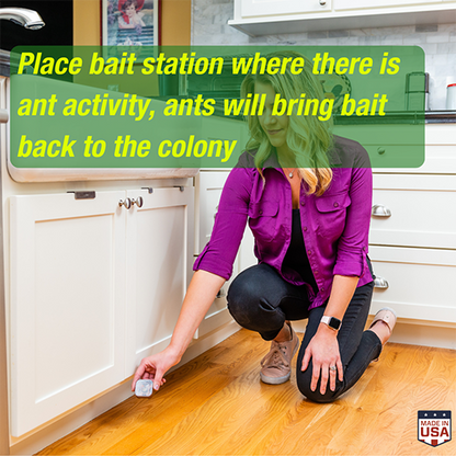 Ant Baits