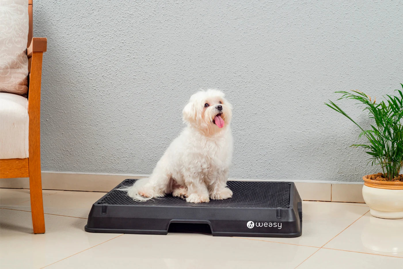 Weasy Smart Dog Potty