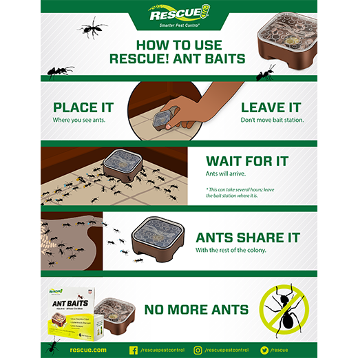 Ant Baits