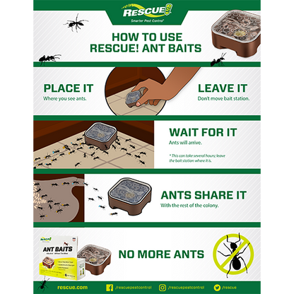 Ant Baits