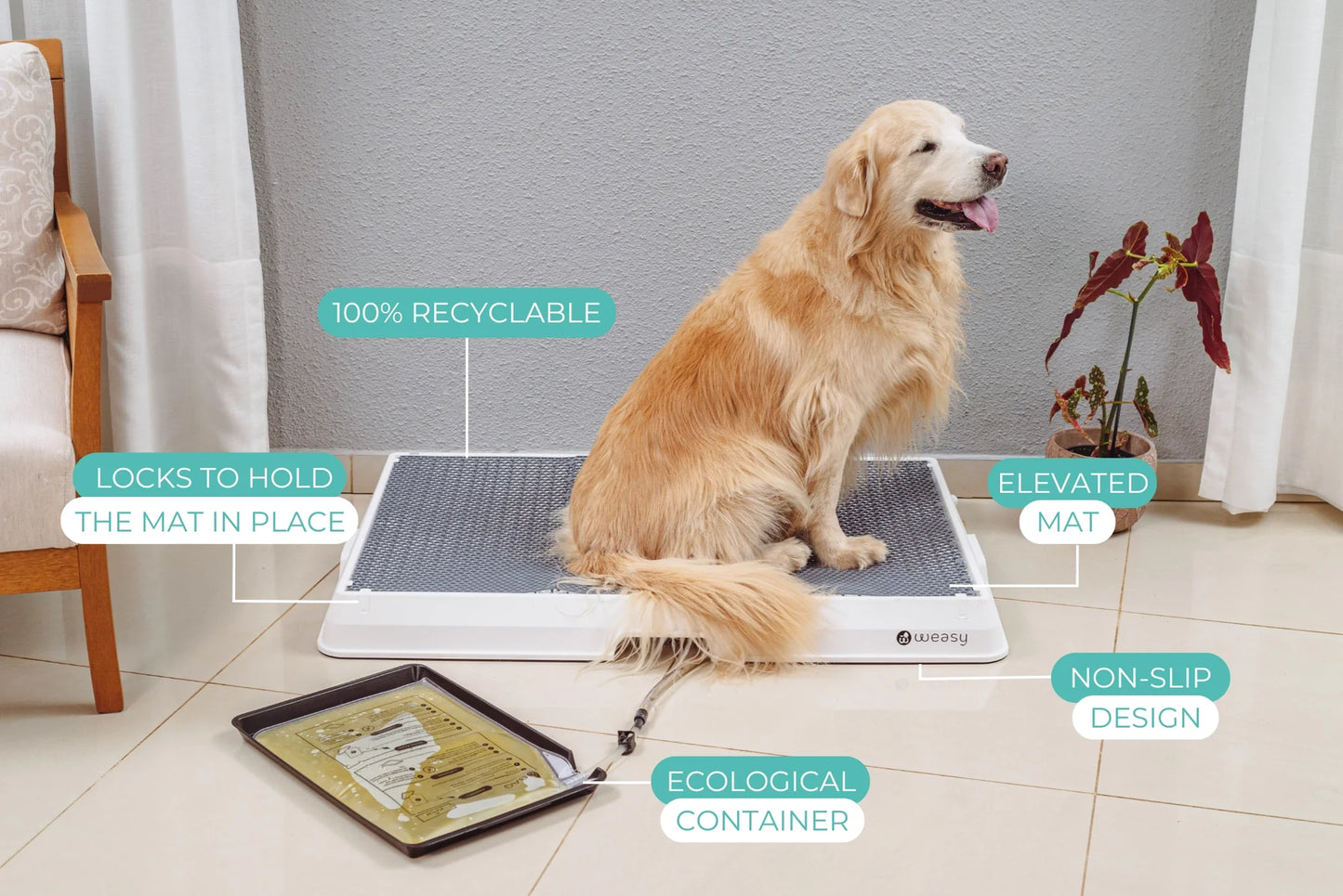 Weasy Smart Dog Potty