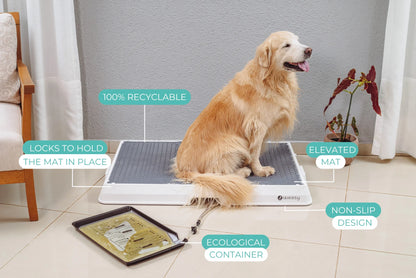 Weasy Smart Dog Potty