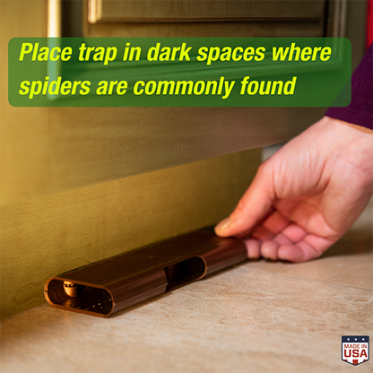 Spider Trap